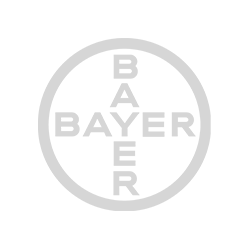 Logo Partner Digitalisierung Bayer