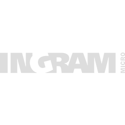 Logo Partner Digitalisierung Ingram